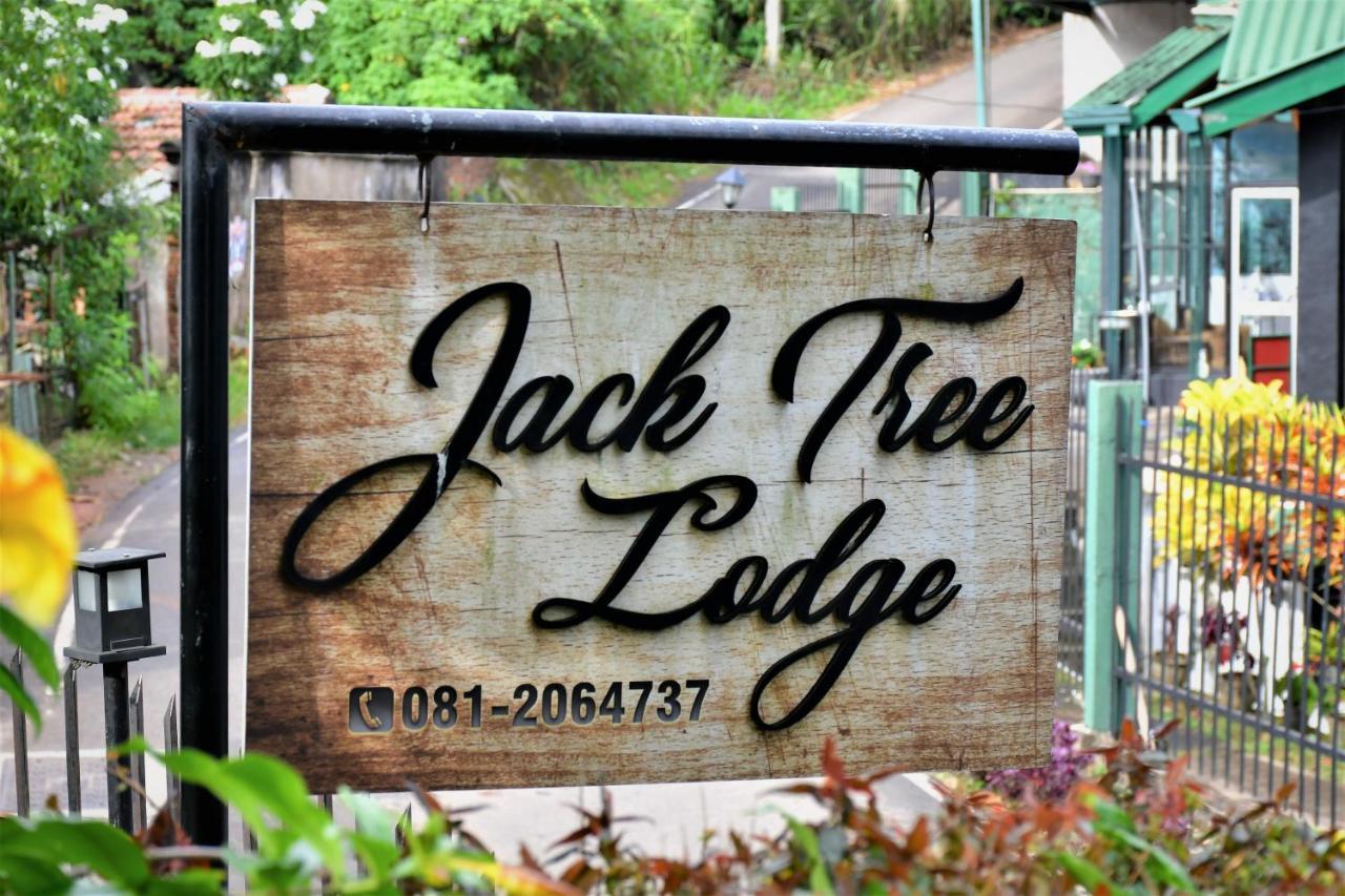 Jack Tree Lodge Kandy Exteriör bild