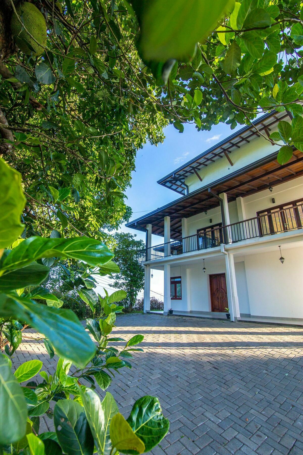 Jack Tree Lodge Kandy Exteriör bild